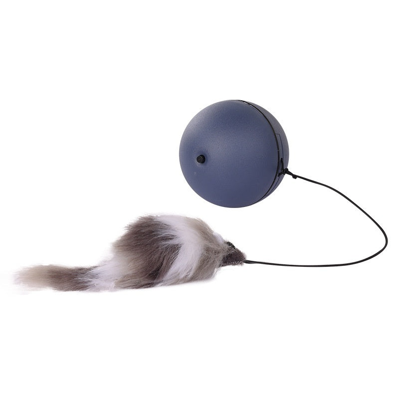 PurrChase Interactive Rolling Ball
