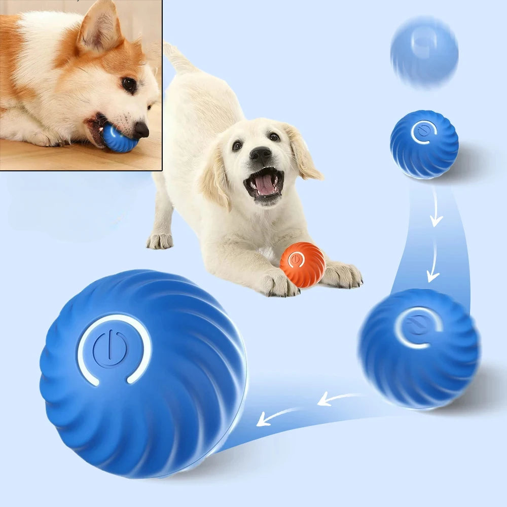 SmartBounce Pet Play Ball USB Automatic