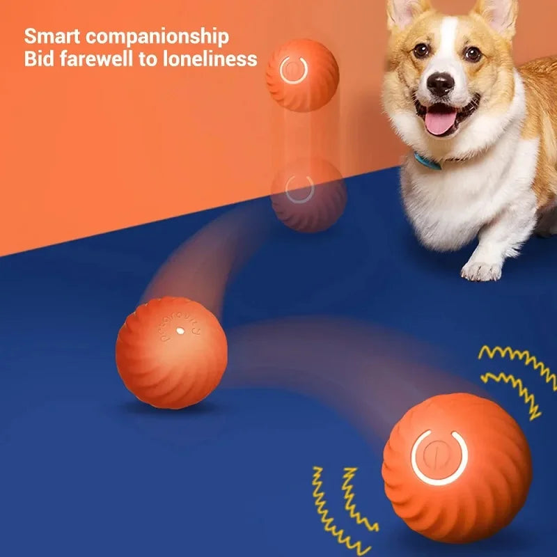 SmartBounce Pet Play Ball USB Automatic