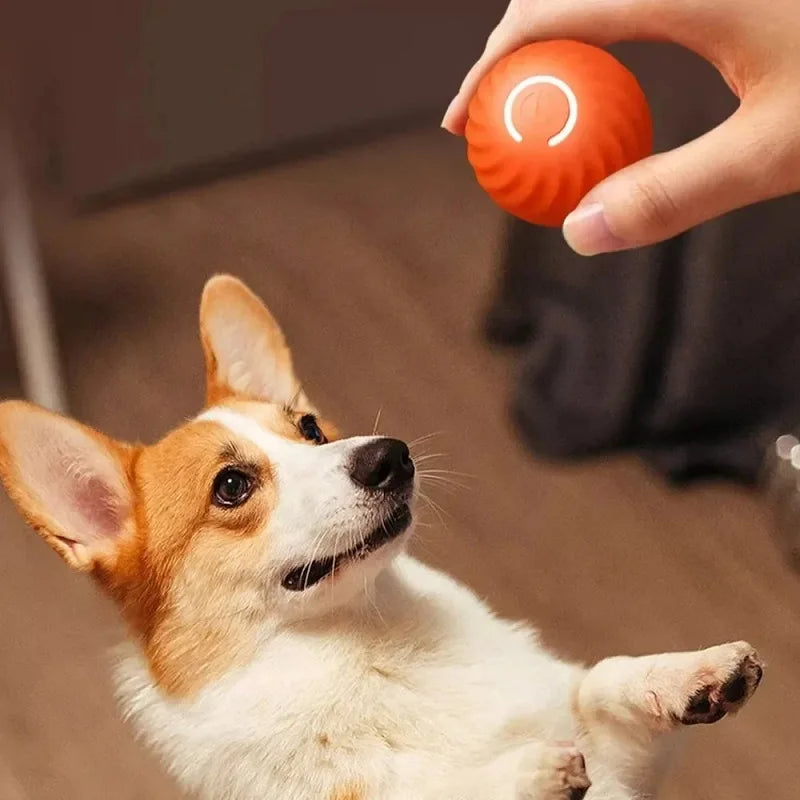 SmartBounce Pet Play Ball USB Automatic