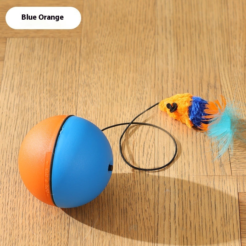 PurrChase Interactive Rolling Ball