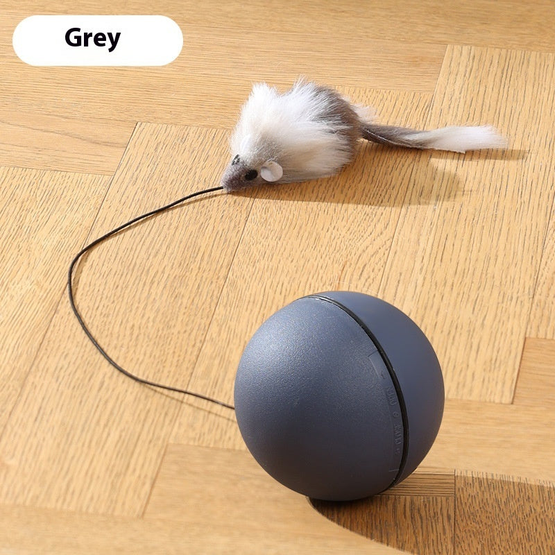 PurrChase Interactive Rolling Ball